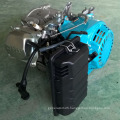 BISON China Zhejiang OEM Powerful 5.5 HP Gasoline Engine 168f